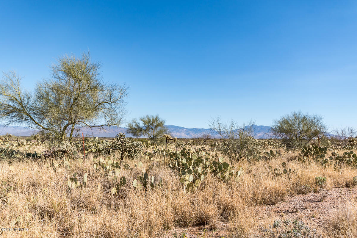Crown Of Tucson Townhouses (1-96) - Residential