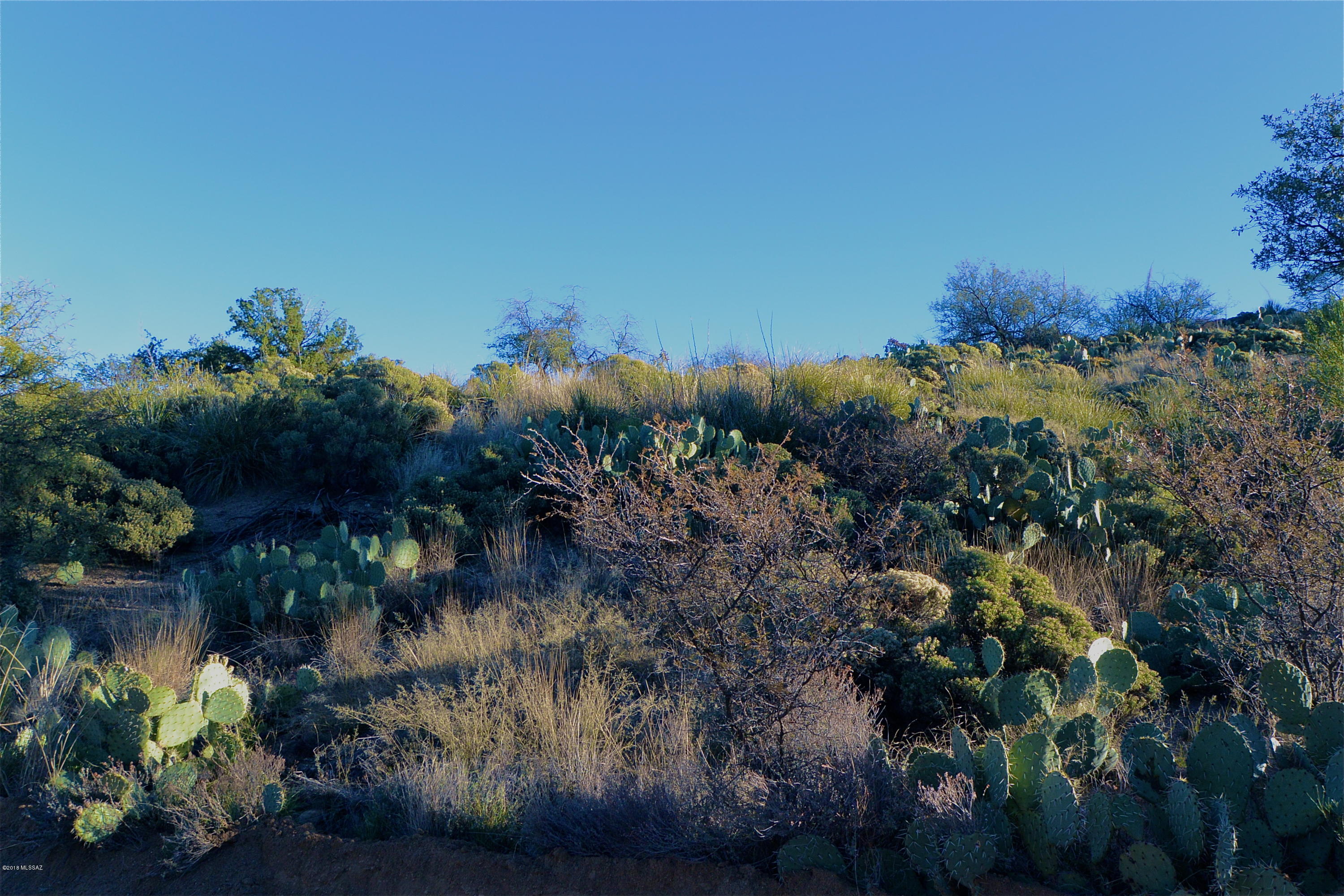 Lot available in cooler Oracle.  This lot has amazing sunrise views and mountain views.  Come build your home and enjoy all of what Oracle has to offer.