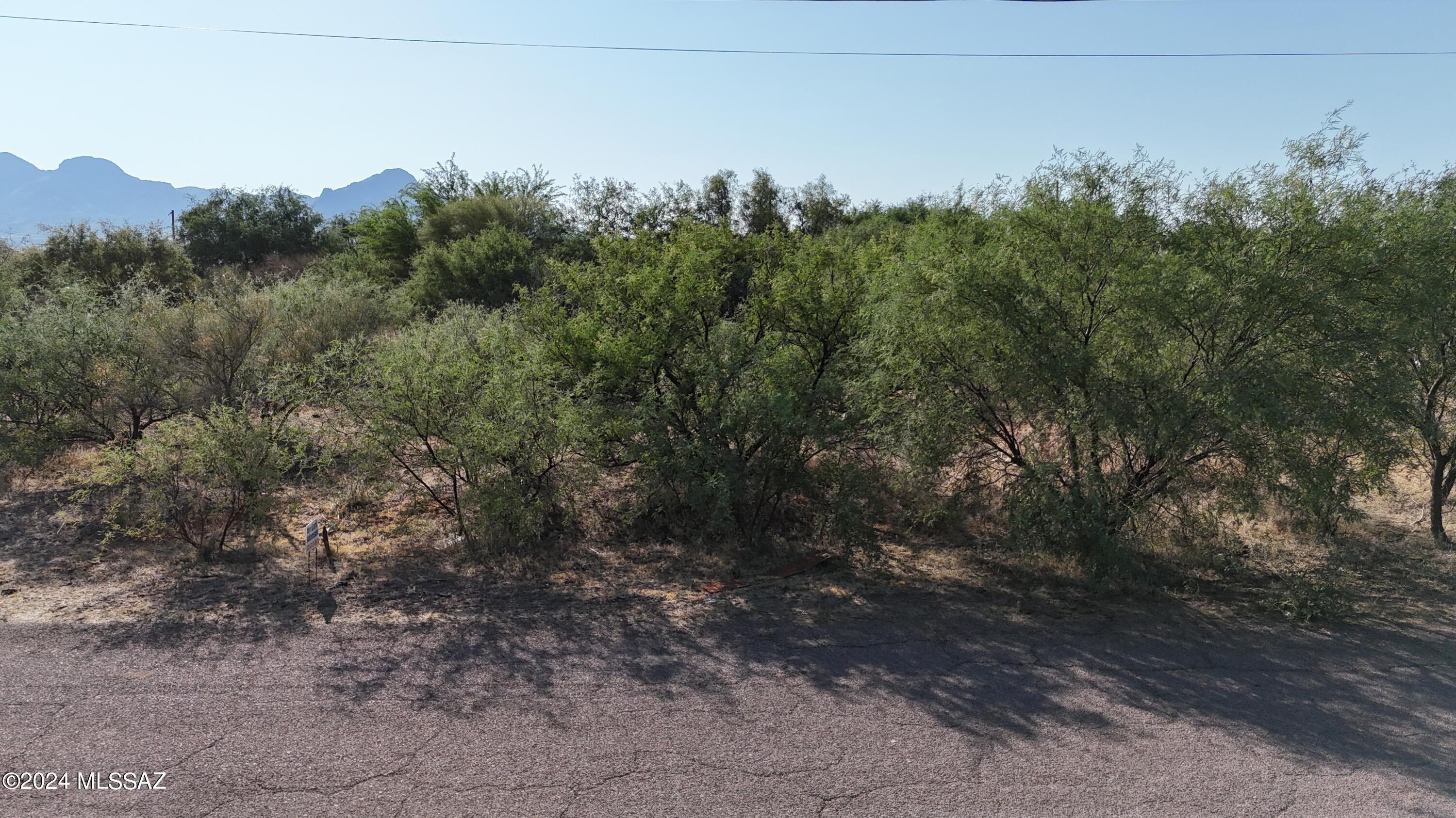 Rio Rico Villas 14 - Land