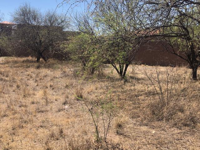 Rio Rico  Unit No 7 - Land