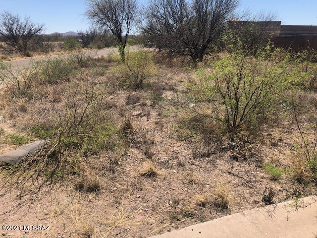 Rio Rico  Unit No 7 - Land