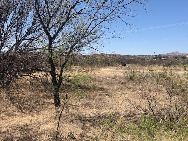 Rio Rico  Unit No 7 - Land