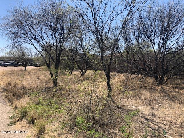 Rio Rico  Unit No 7 - Land