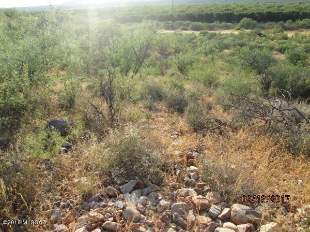 Pasadera (1-29) - Land