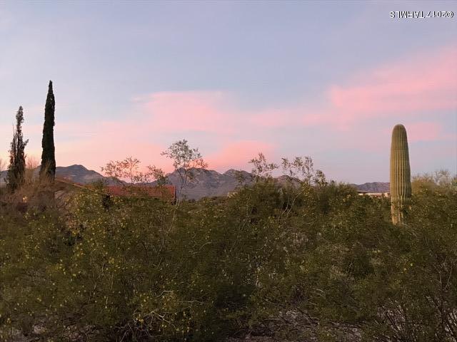 Rio Verde Vista (1-58) - Land