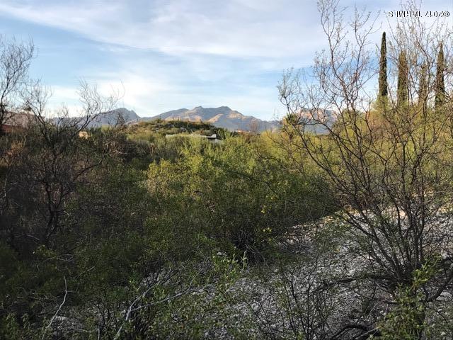 Rio Verde Vista (1-58) - Land