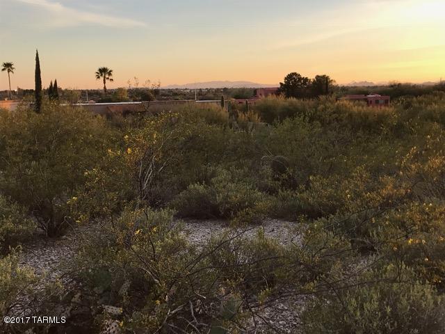 Rio Verde Vista (1-58) - Land