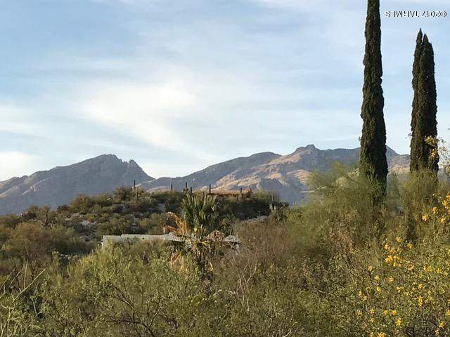 Rio Verde Vista (1-58) - Land