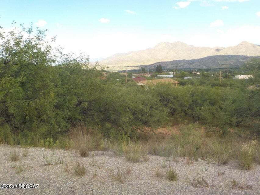 Rio Rico Estates 4 - Land
