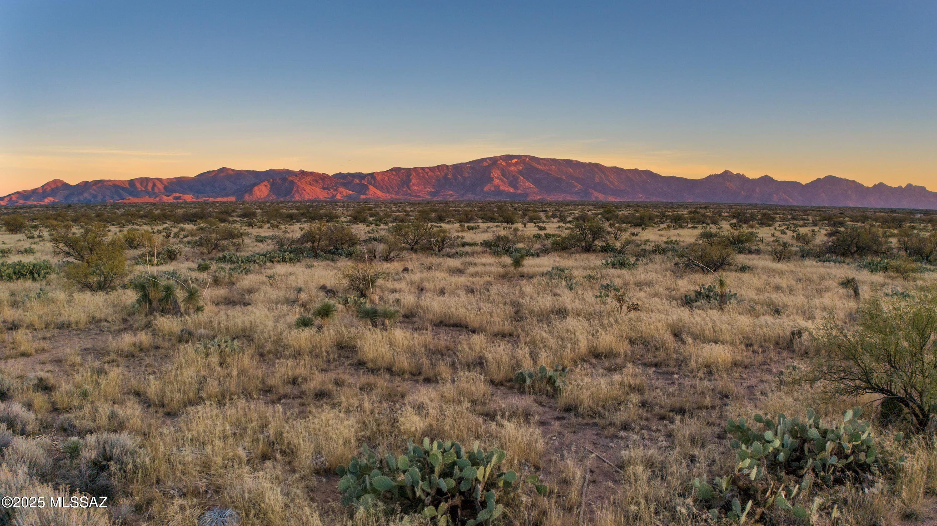 Saddlebrooke Ranch - Residential