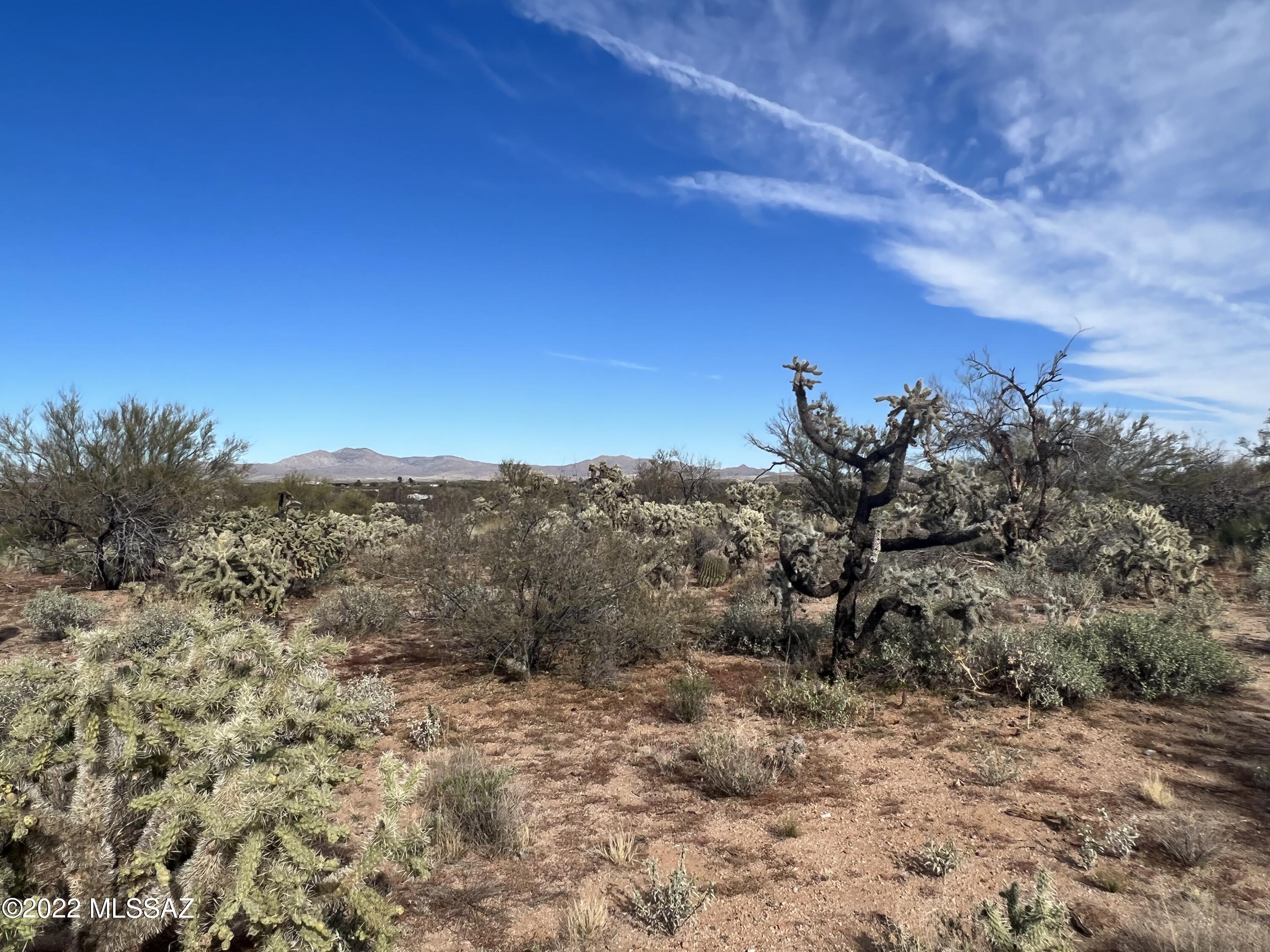 Beautiful property just off Hwy 79 near Park Link Drive. 3.149 Acres. Great Mountain and Sunset Views. Build your dream home or add a manufactured home land package. Enjoy the beauty of rural Arizona but still close to Tucson! Only a 10 minute drive to the Catalina Junction. Give agent a call if you need additional information. Lots are marked on the opposite side of the road with stakes and red flags. 3 stakes show where the lots begin and end. Back of the lots marked with white pvc poles. Lot next to this one also for sale!