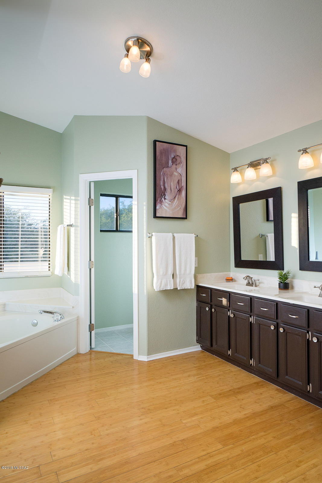 Rancho Vistoso Neighborhood 7 (1-317) - Residential