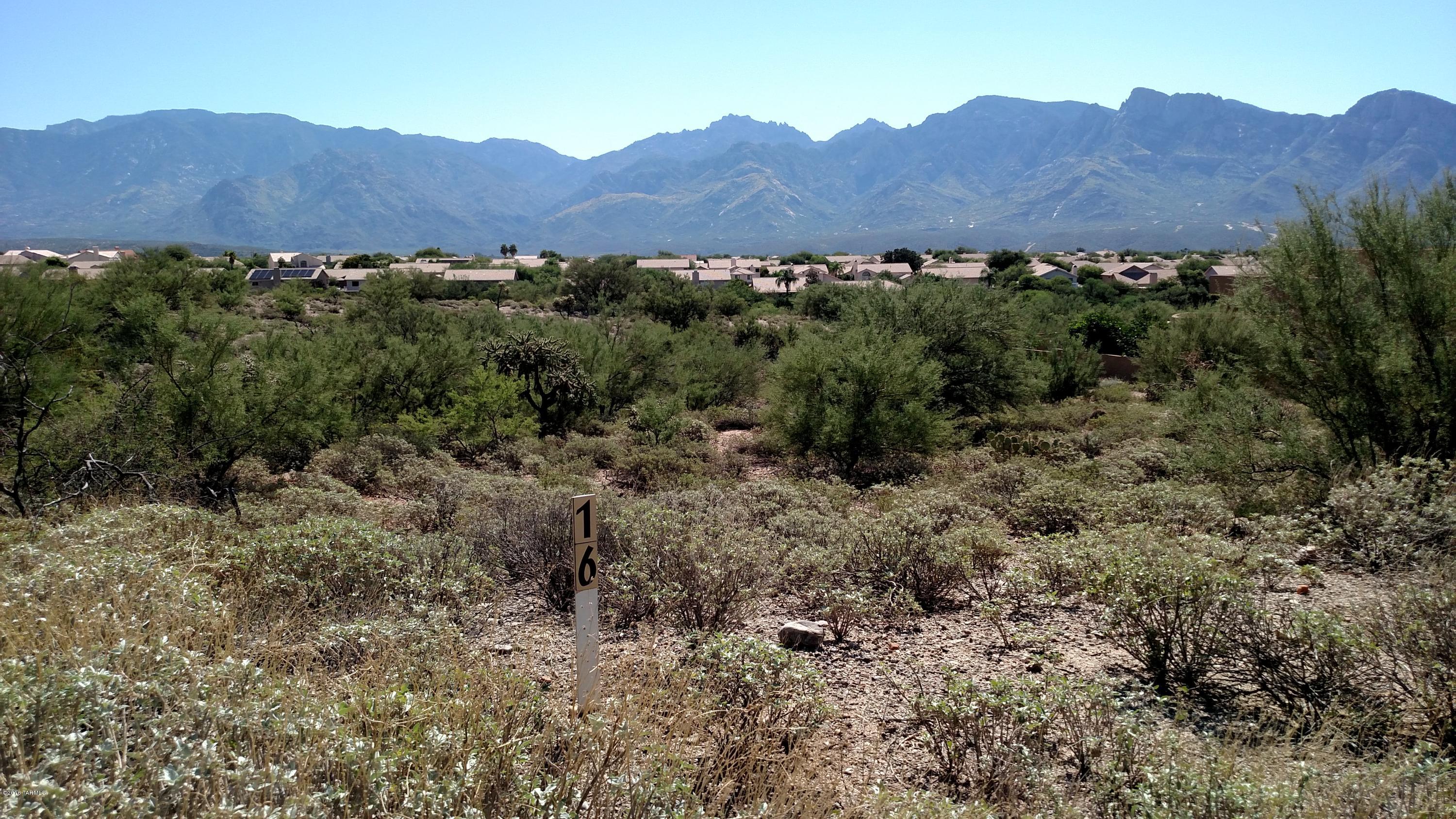 Rancho Vistoso Ngh 7 PCL A Vistoso Point - Land