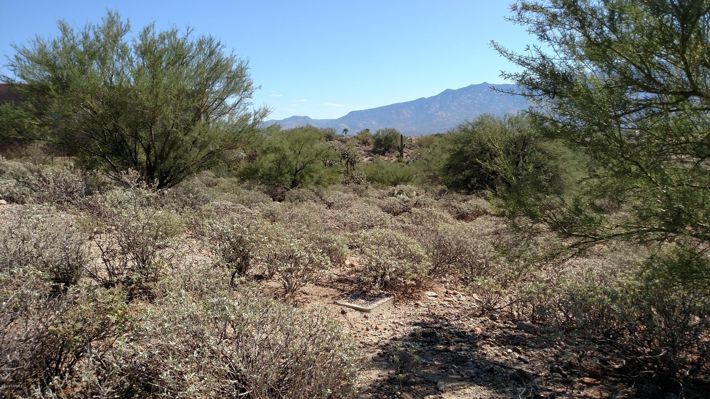 Rancho Vistoso Ngh 7 PCL A Vistoso Point - Land