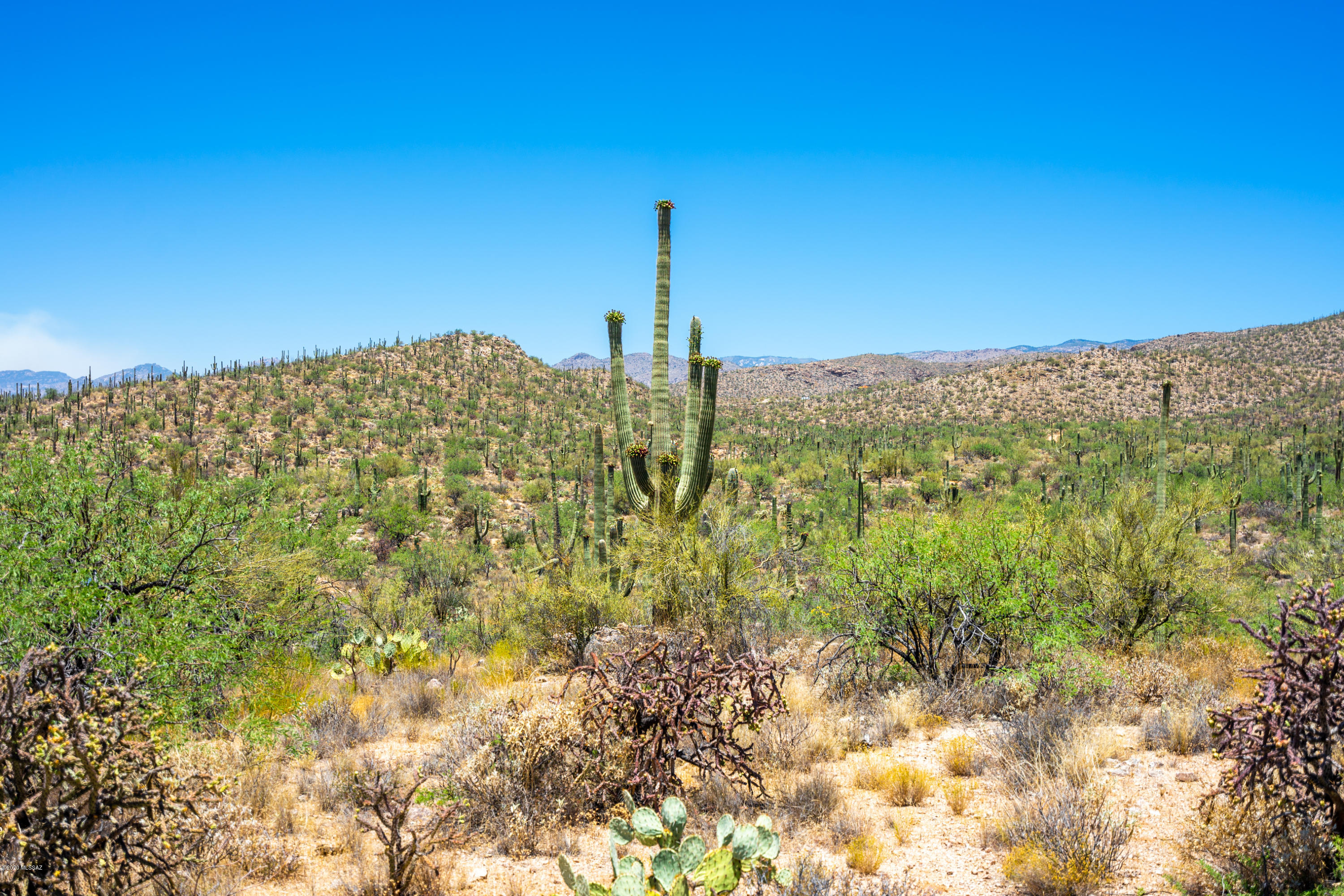 Over 10 acres of gorgeous land filled with beautiful saguaros. Beautiful mountain and sunset views.  Pristene desert you cant get this anywhere else.
SIGN WILL BE INSTALLED 6/12/2020