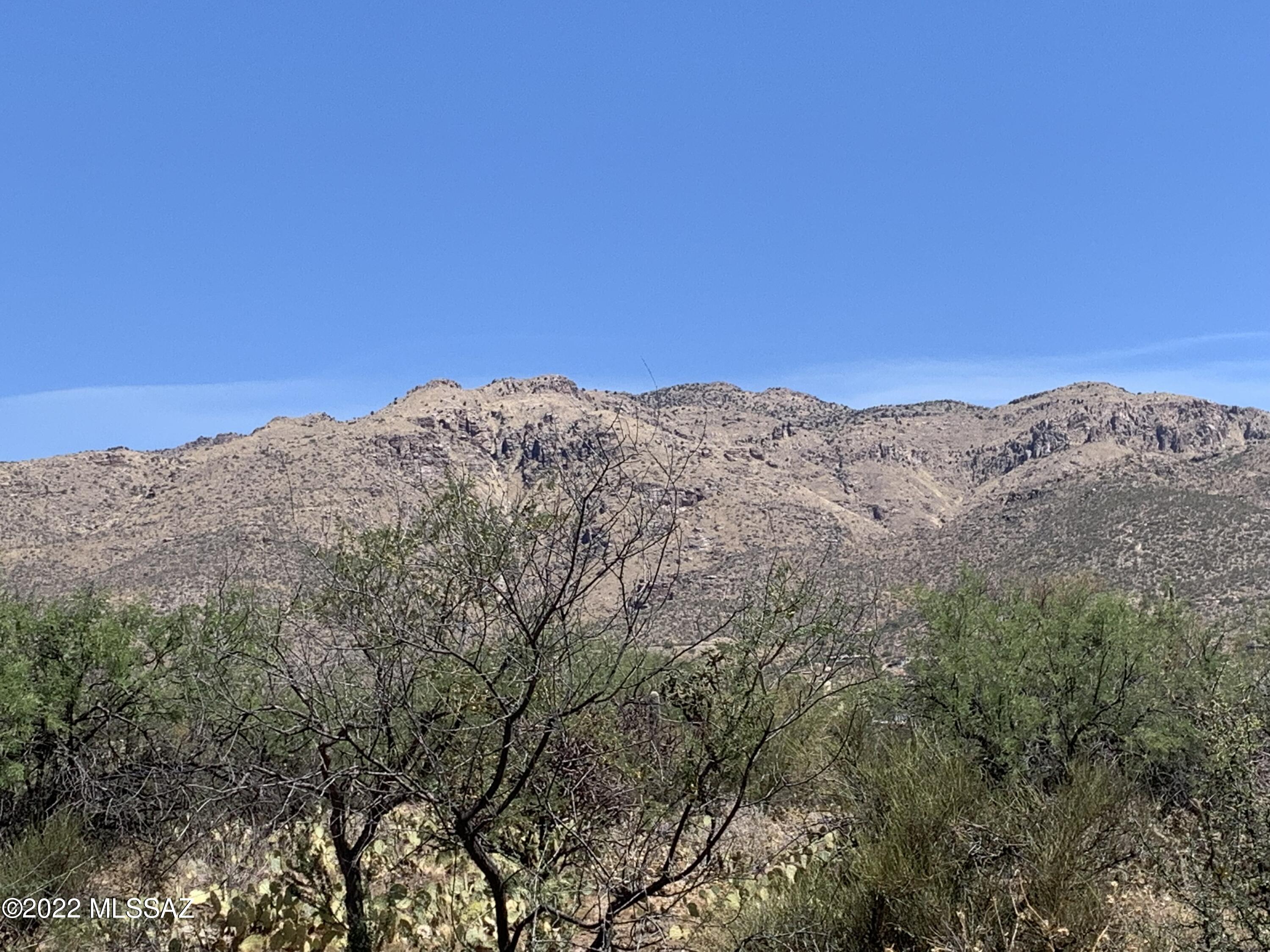 Plan your home in this private mesquite grove. Enjoy the beauty of Tanque Verde Valley on this 3.3 acre parcel. This parcel is very flat and buildable. Utilities are available. You'll enjoy the incredible views towering Saguaros and varied wildlife for years to come.