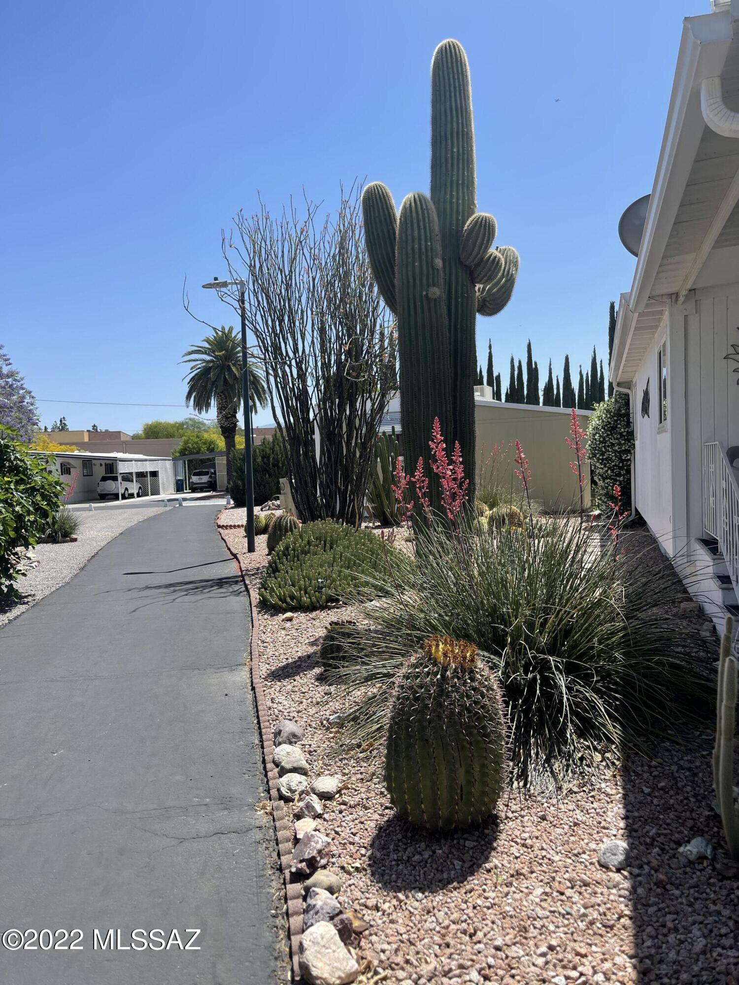 Trails End Park - Residential