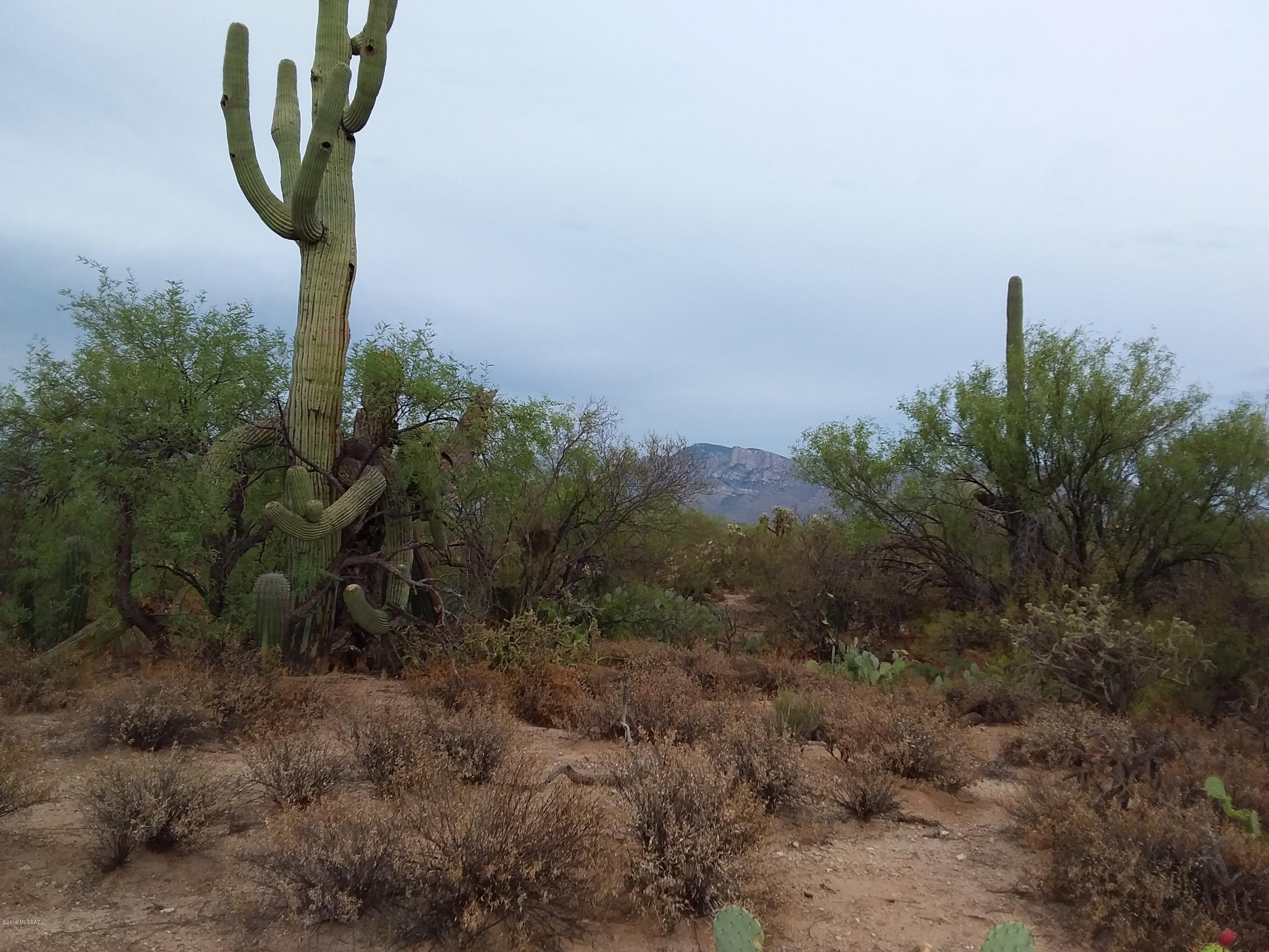 Great value on lot in Oro Valley. Build your dream home on over 3 acre home site with majestic Catalina Mountain Views. Electricity at lot line. Oro Valley Water available at Tangerine road. Gently rolling terrain for easy site prep. Builder available for custom home build too. Go see this lot or call for more info.