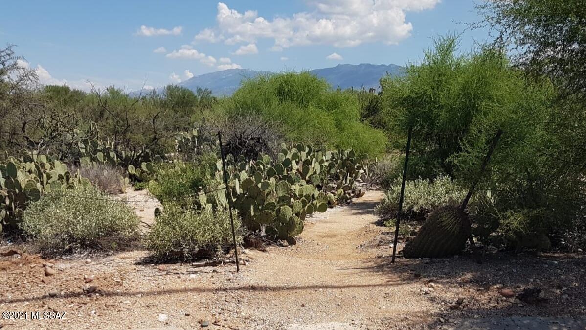 Desert Cove (1-65) - Residential