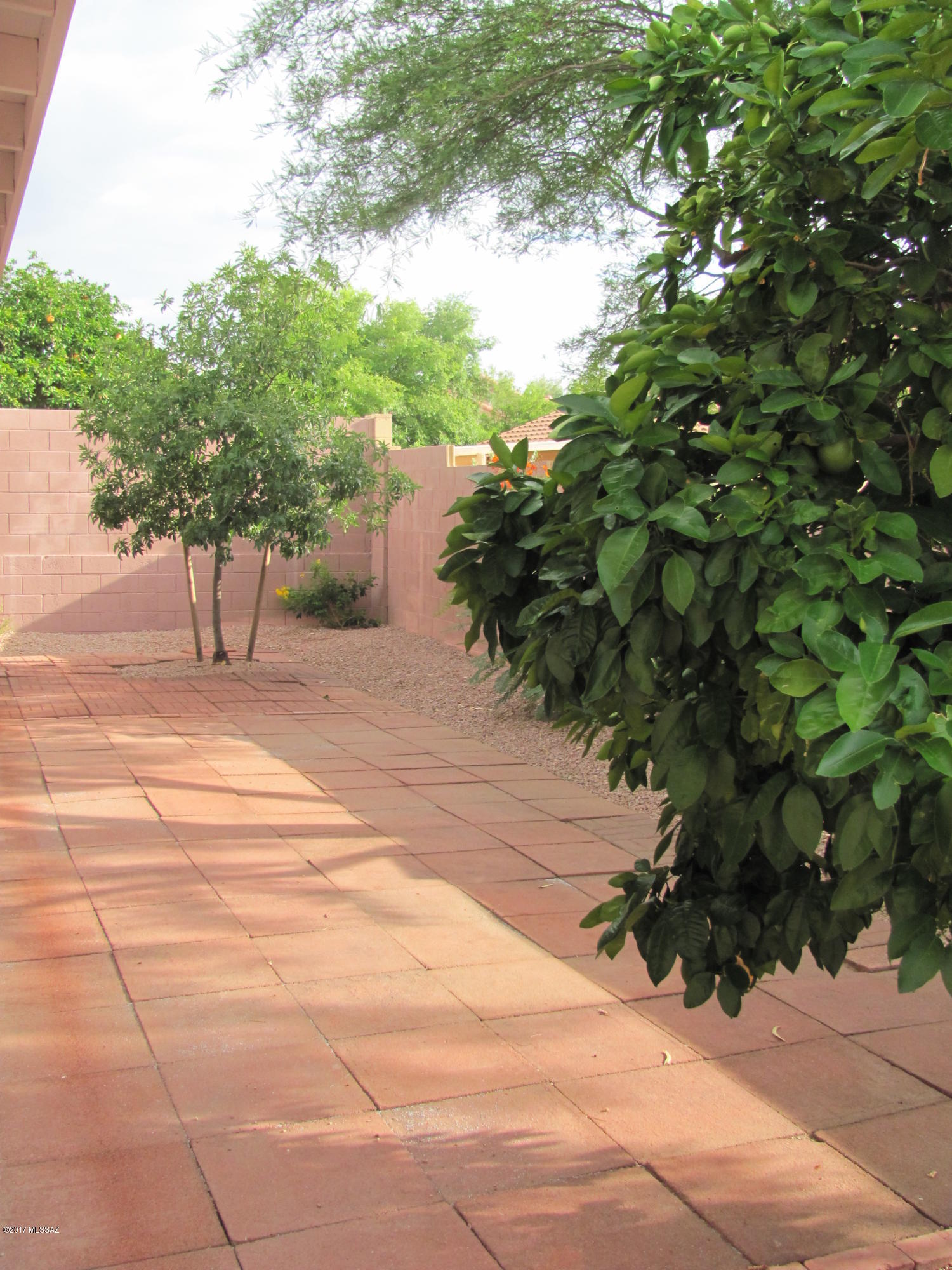 Colony At Oro Valley (The) - Residential Lease