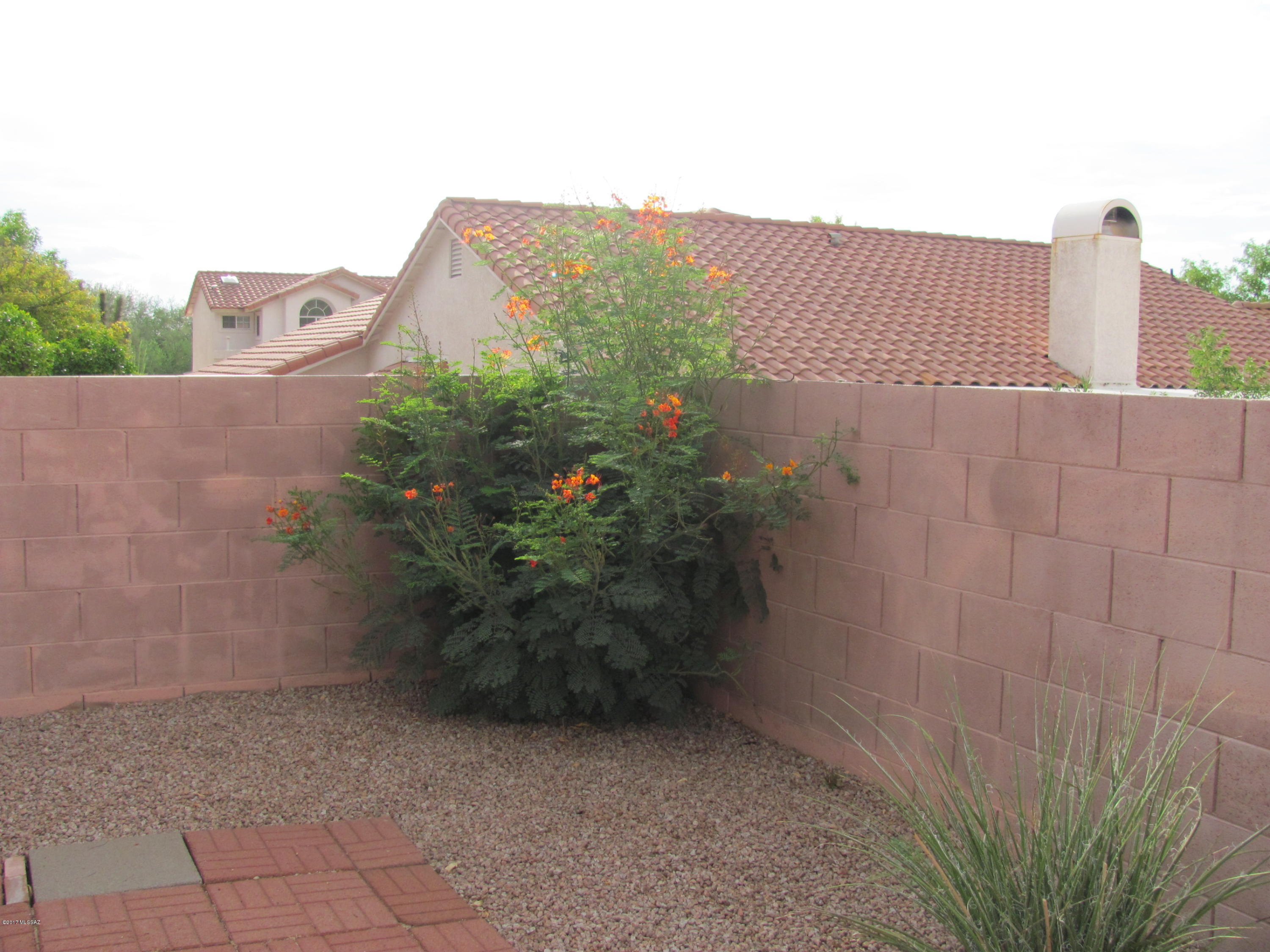 Colony At Oro Valley (The) - Residential Lease
