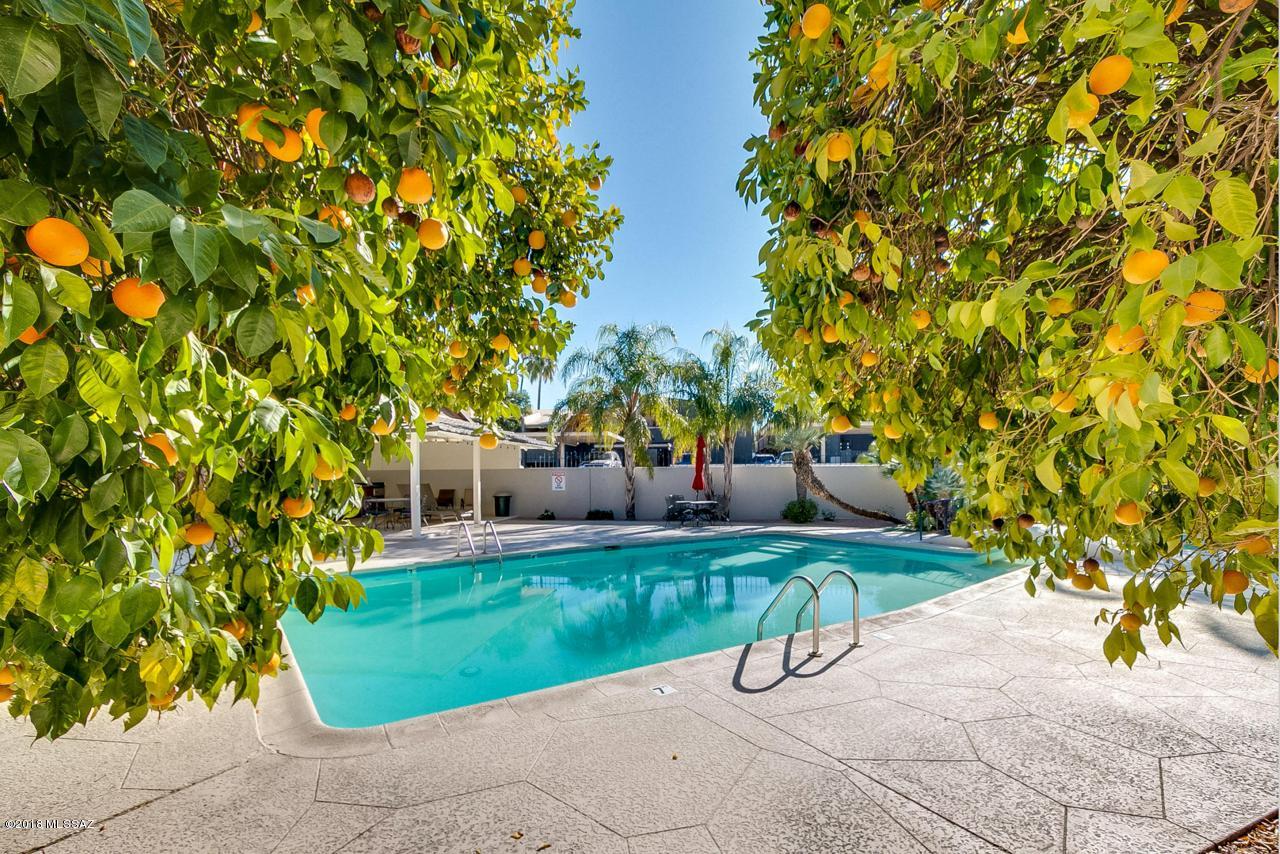 Casa La Paz - Residential Lease