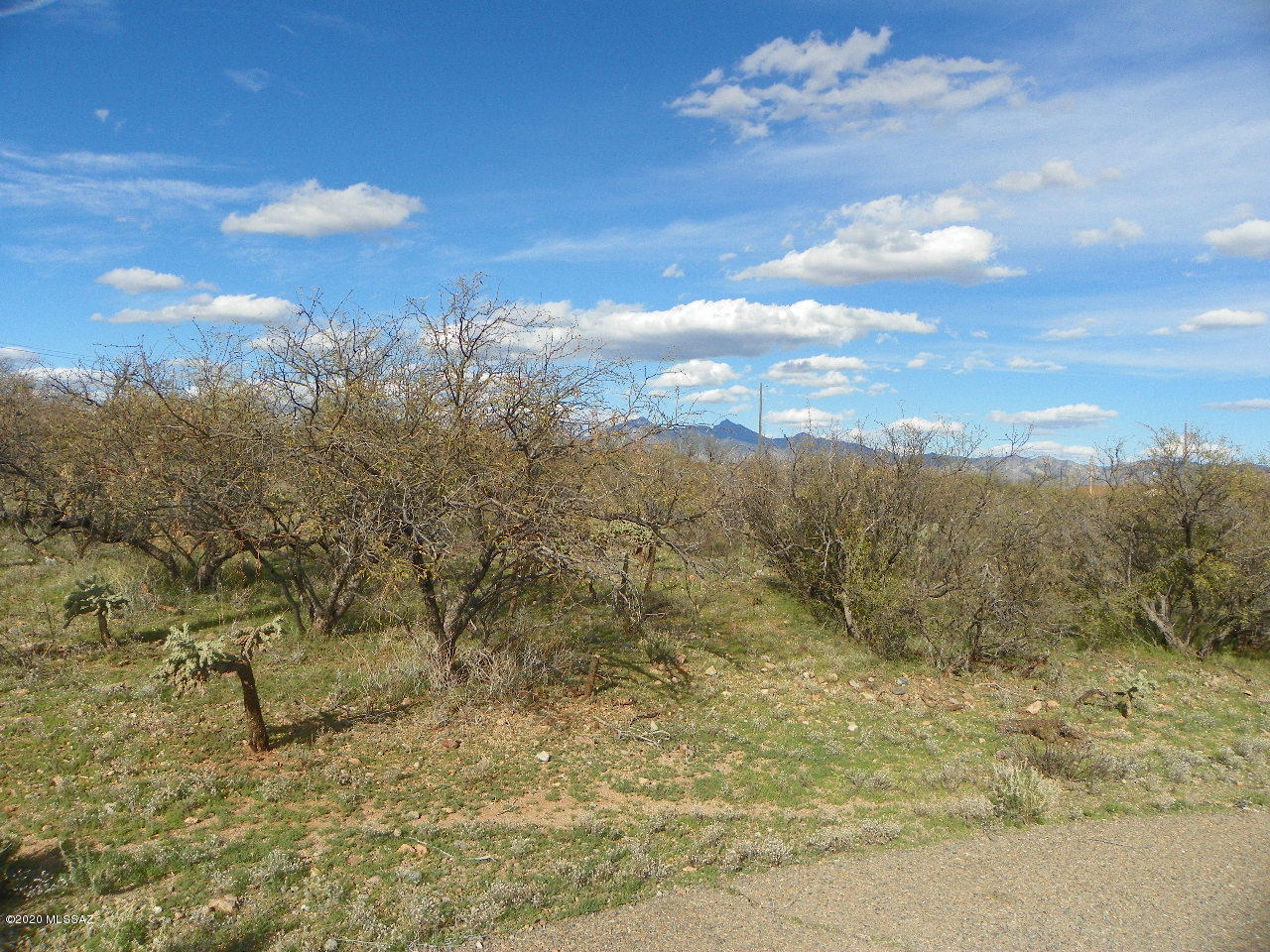 Rio Rico Villas 11 - Land