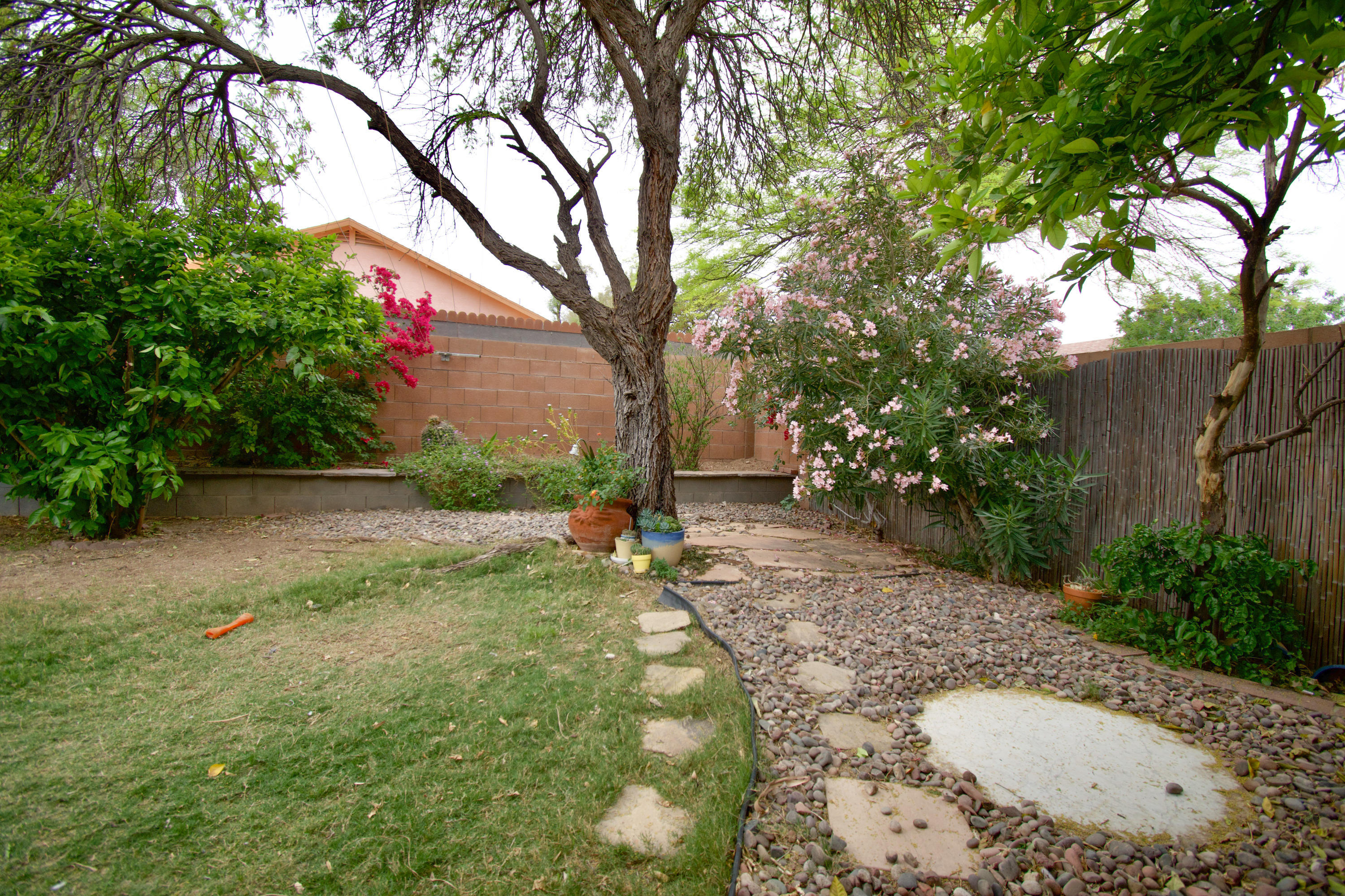 Elliott Homes At Rita Ranch (1-521) - Residential