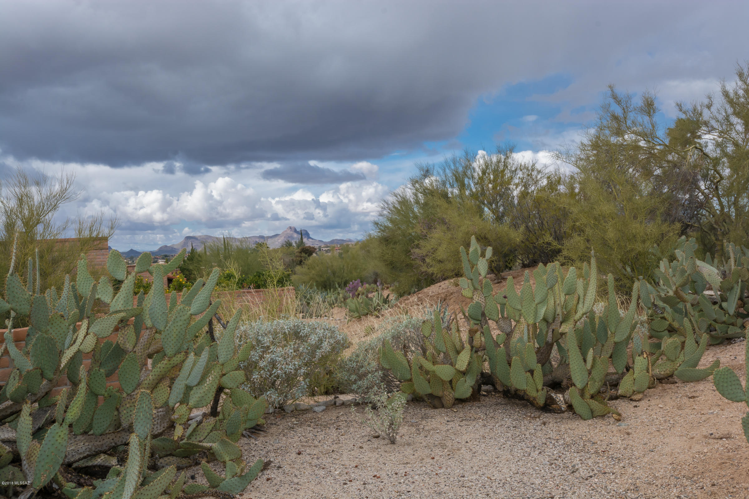 La Cholla Hills(1-313) - Residential