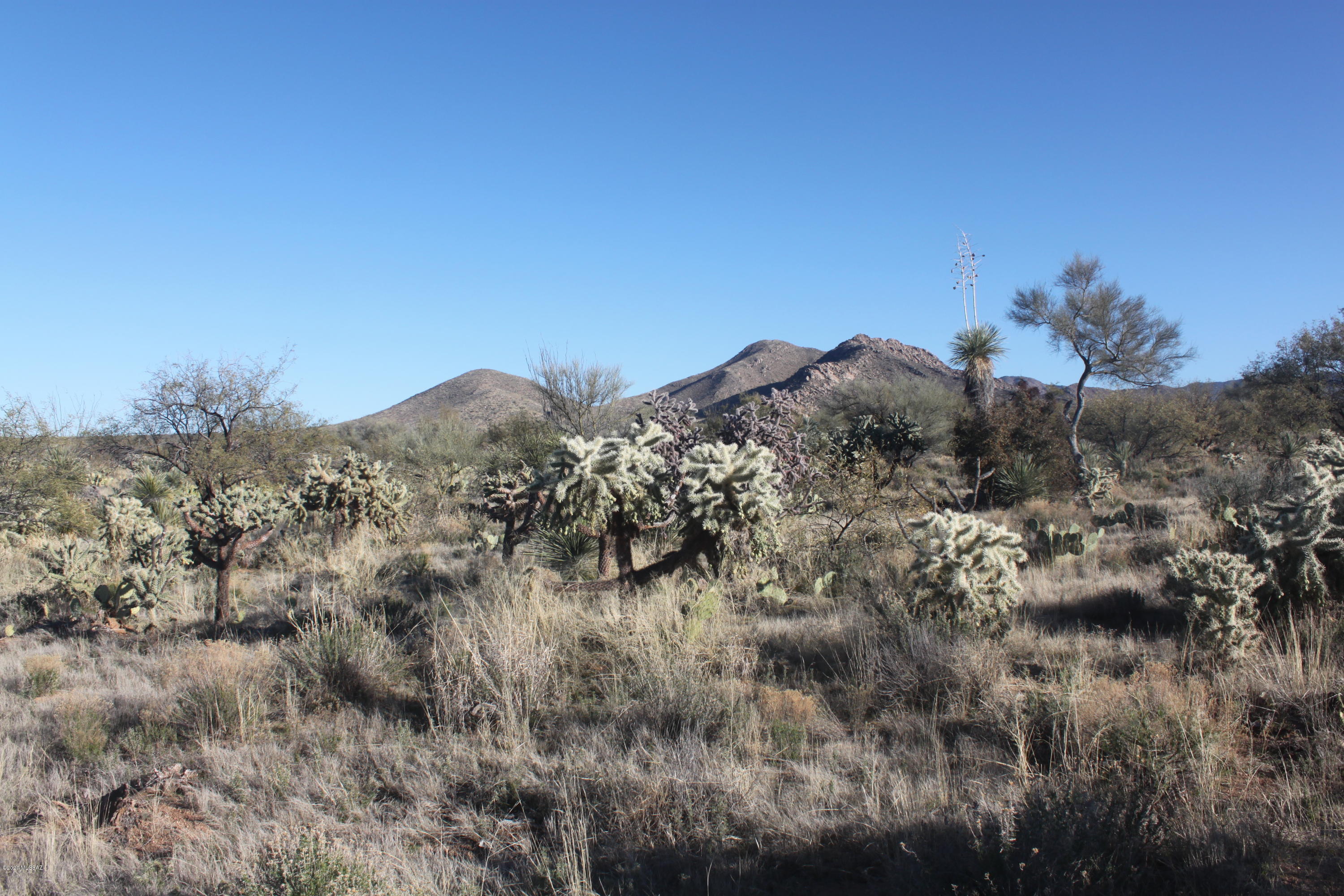 Diamond Bell Ranch - Tucson Unit 6 (1-435) - Land