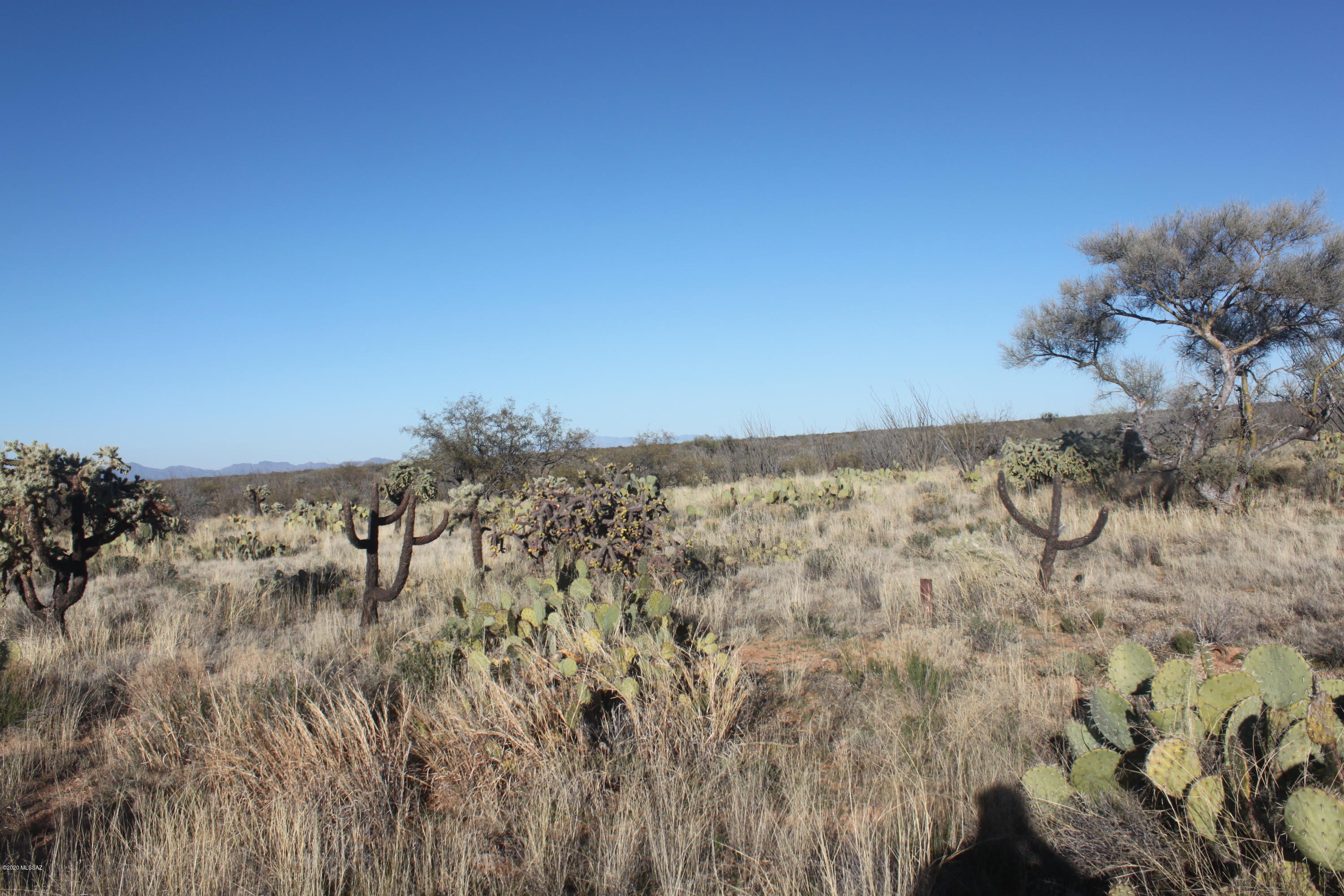 Diamond Bell Ranch - Tucson Unit 6 (1-435) - Land