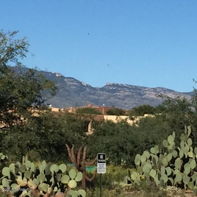 Rincon View Estates (1-87) - Land