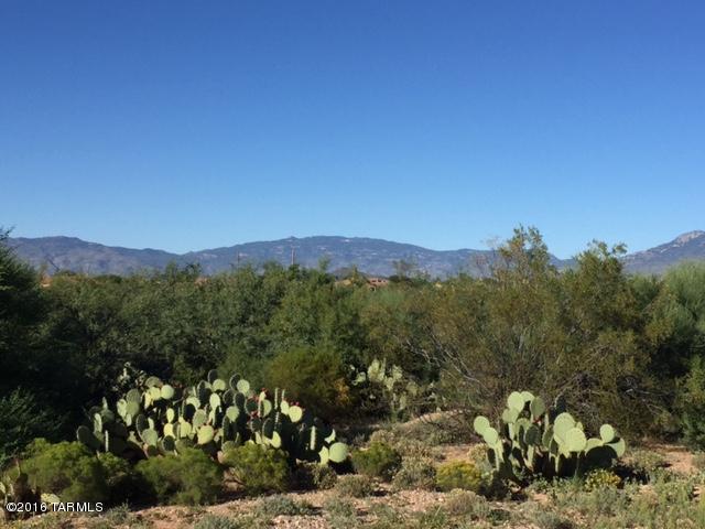 Rincon View Estates (1-87) - Land