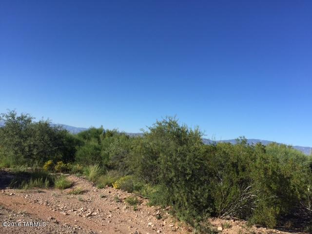 Rincon View Estates (1-87) - Land