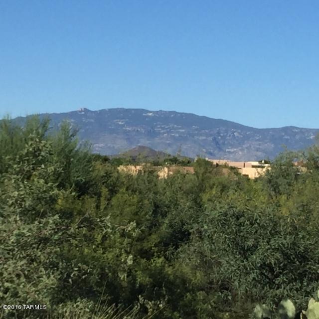 Rincon View Estates (1-87) - Land
