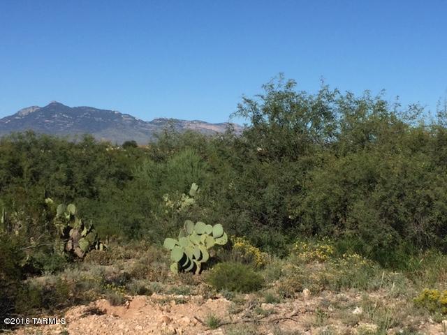 Rincon View Estates (1-87) - Land