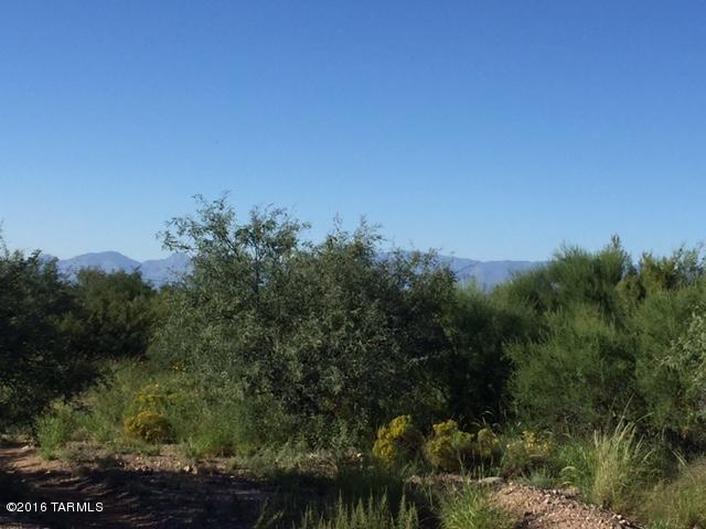 Rincon View Estates (1-87) - Land