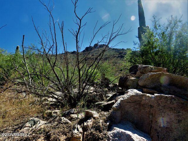 Canyon Pass III At Dove Mountain (111-181) - Land