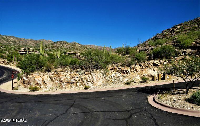 Canyon Pass III At Dove Mountain (111-181) - Land