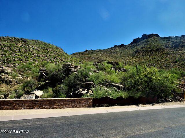 Canyon Pass III At Dove Mountain (111-181) - Land