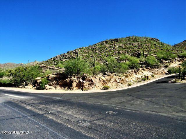 Canyon Pass III At Dove Mountain (111-181) - Land