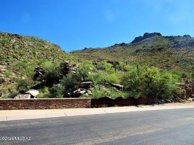 Canyon Pass III At Dove Mountain (111-181) - Land