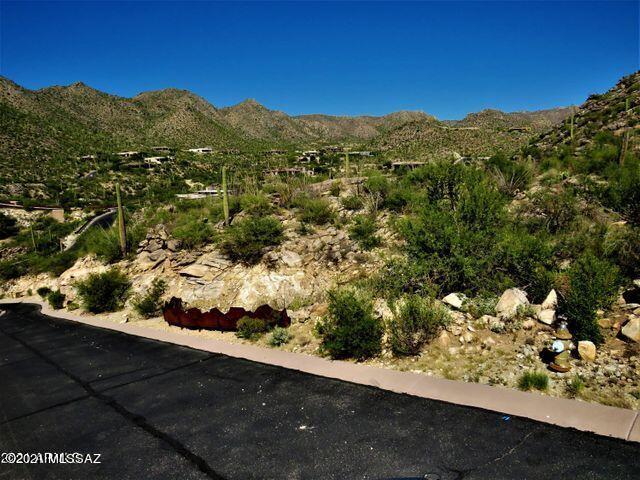 Canyon Pass III At Dove Mountain (111-181) - Land