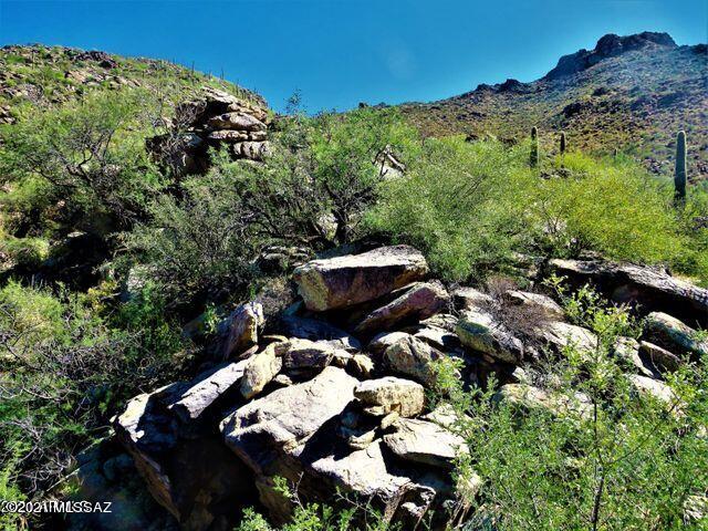 Canyon Pass III At Dove Mountain (111-181) - Land