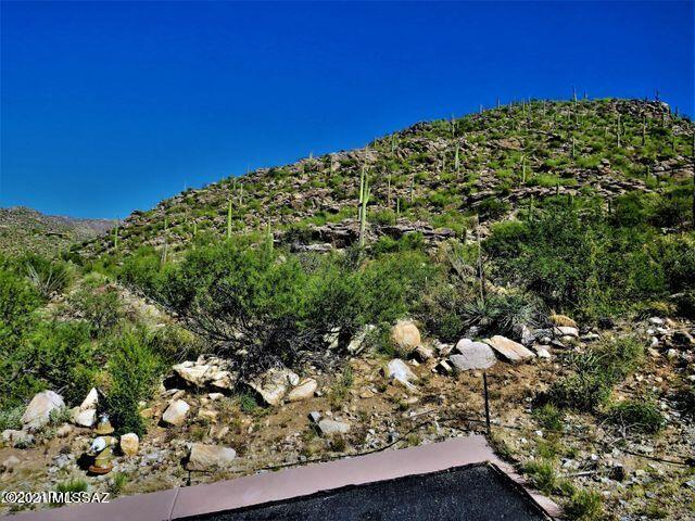 Canyon Pass III At Dove Mountain (111-181) - Land