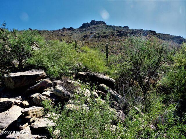 Canyon Pass III At Dove Mountain (111-181) - Land