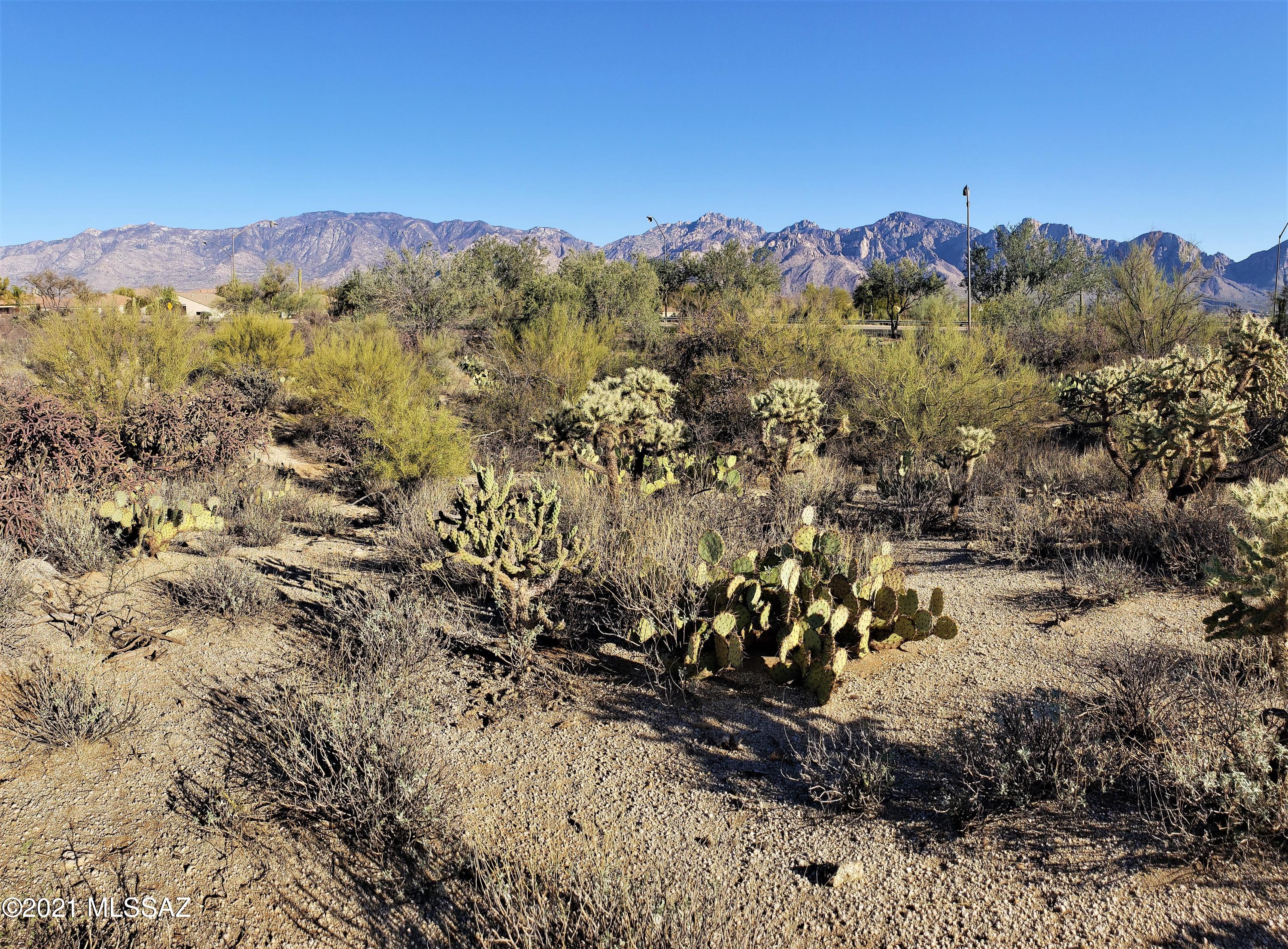 Honey Bee Ridge(The Estates At) - Land