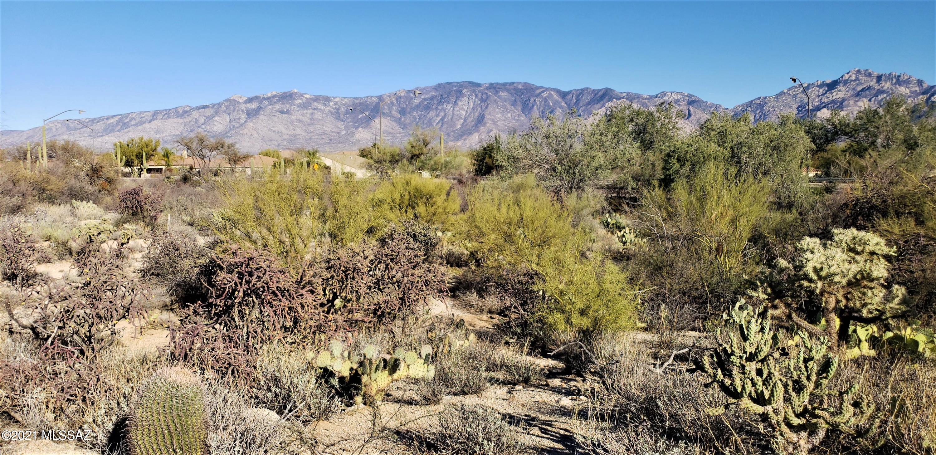 Honey Bee Ridge(The Estates At) - Land