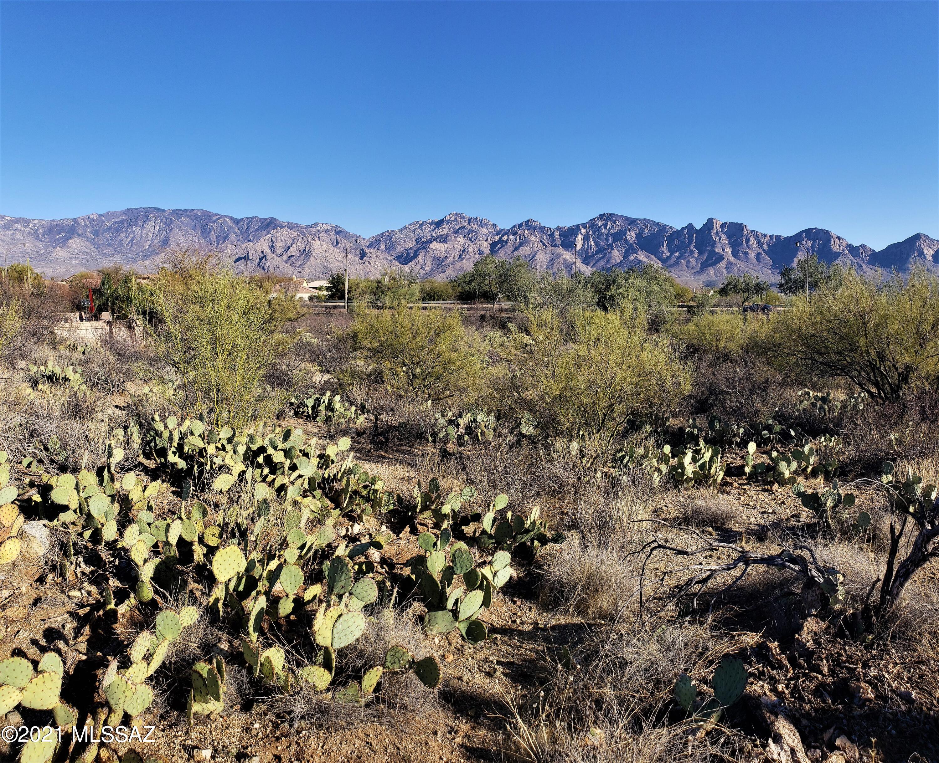 Honey Bee Ridge(The Estates At) - Land
