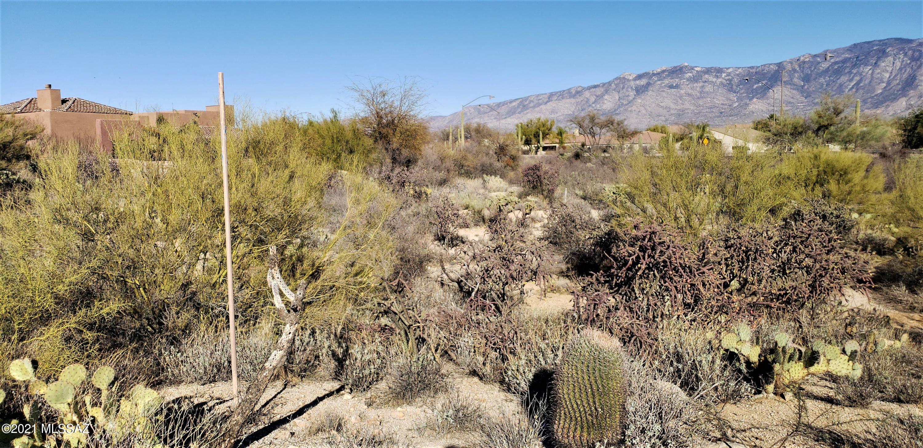 Honey Bee Ridge(The Estates At) - Land